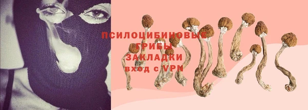 МДМА Арсеньев