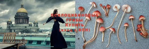 не бодяженный Аркадак