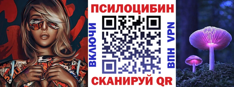 купить наркотик  Приозерск  Псилоцибиновые грибы Magic Shrooms 