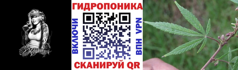 Конопля план  Приозерск 